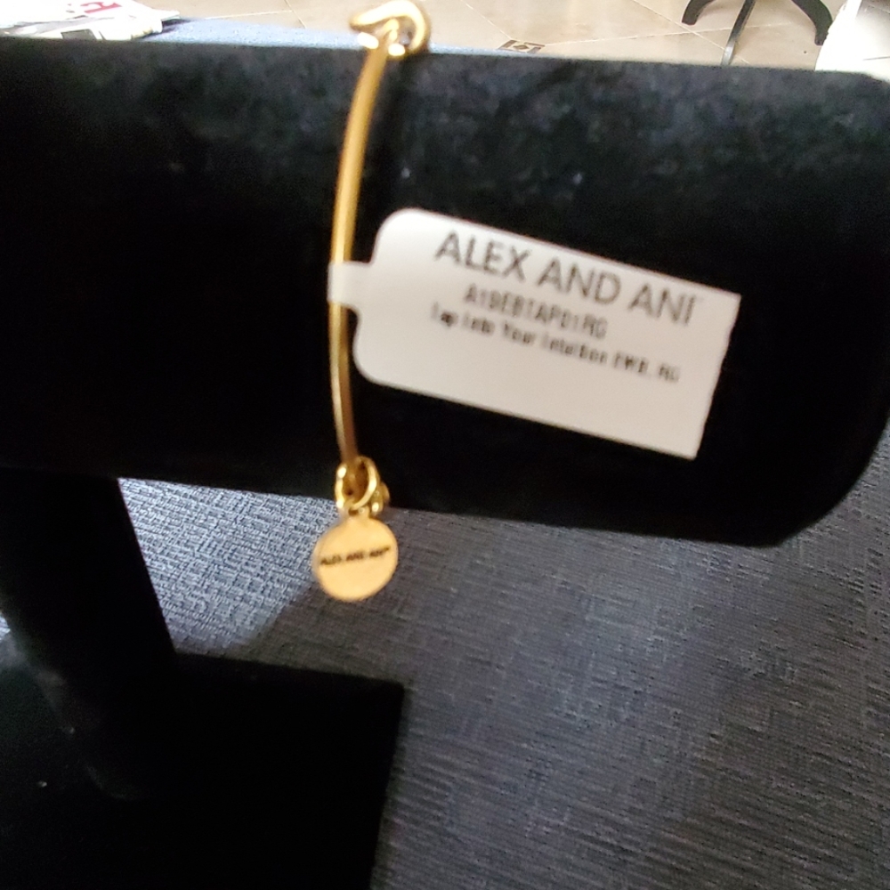 ANDI AND ANI - Picture 3 of 5